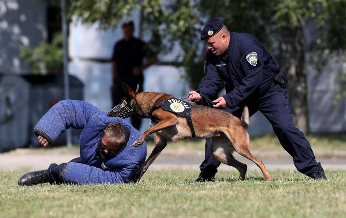 Interventna policija