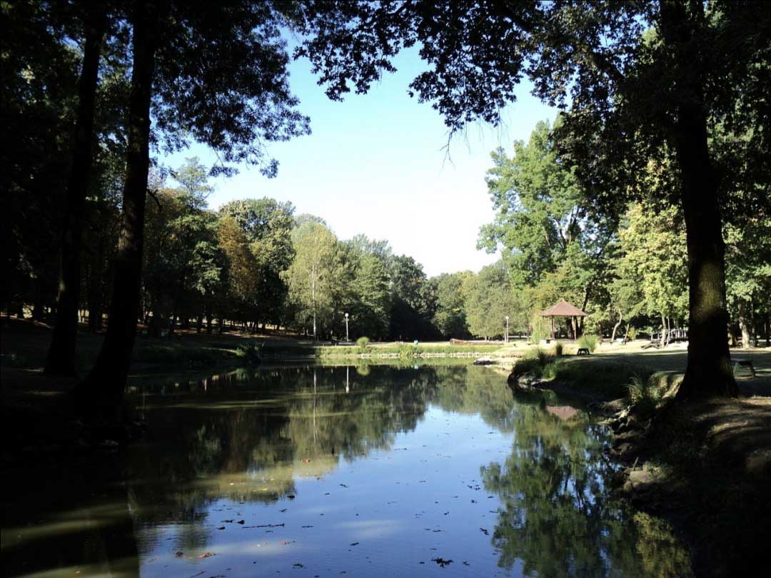 Našice