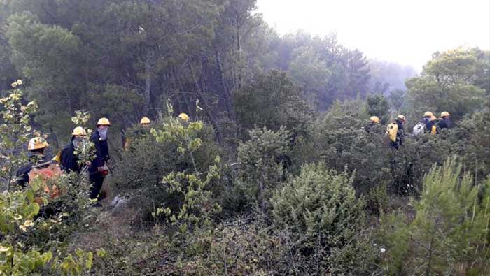 Požar kod Šibenika