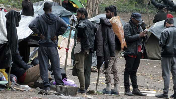 migranti