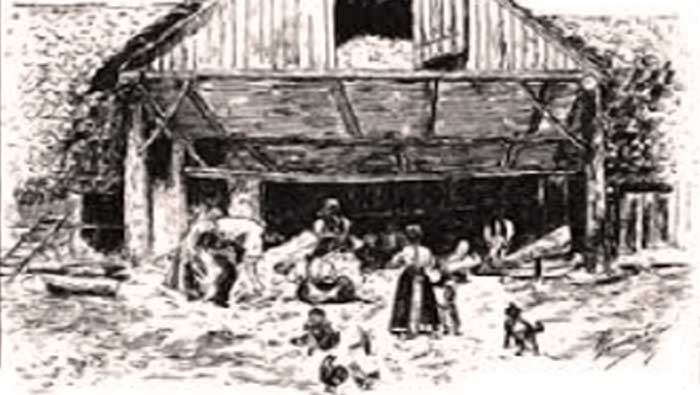 Drnjanska pjesmarica
