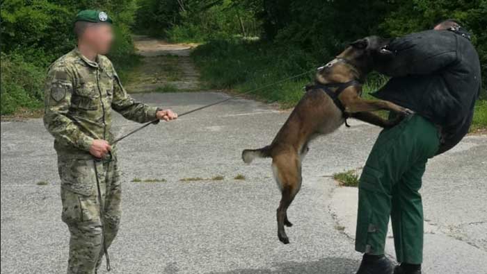 tečaj za obuku vodiča i službenih pasa