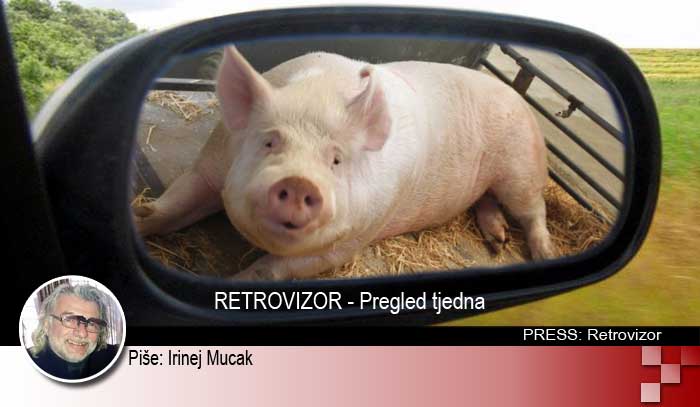 Retrovizor
