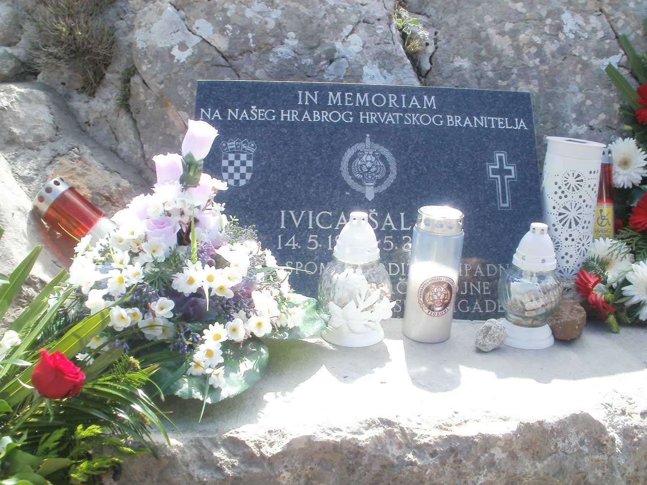 Tigrovi, HVIDR-a Čazma - Ivica &Scaron;aljak