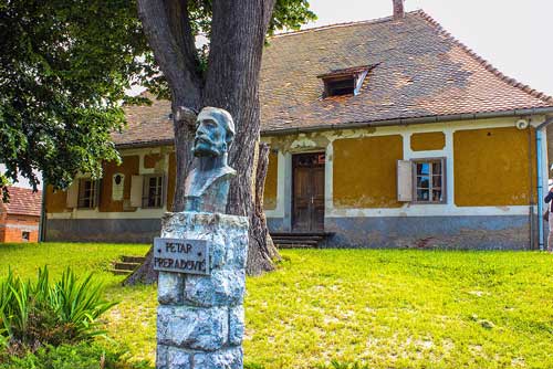 Petar Preradović - Pozdrav domovini