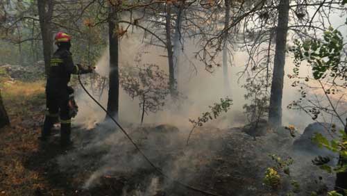 Požar u Srinjinama