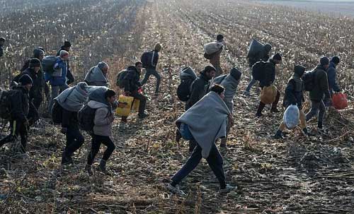 migranti