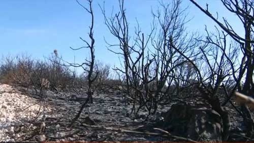 Požar u Maričićima