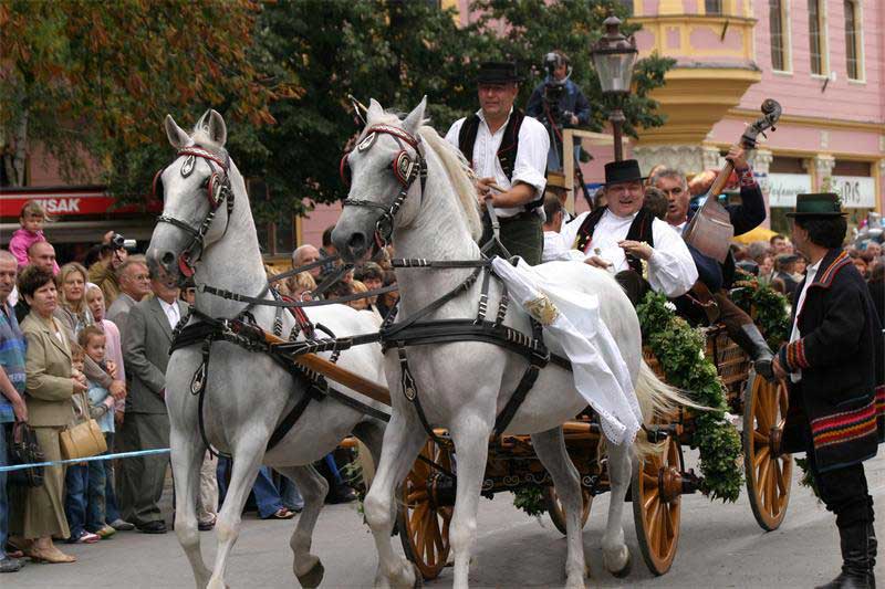 Bećarac