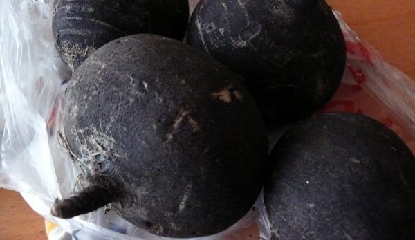 Ljejkovito bilje - crna rotkva