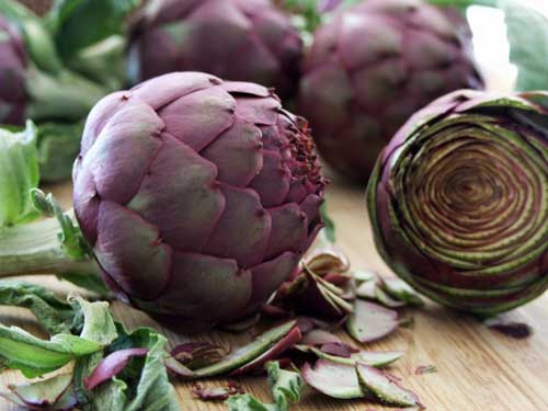 Ljekovito bilje - Artičoka