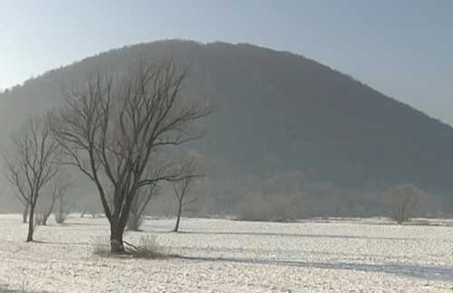 Bednja