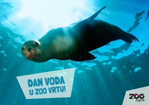 Svjetski dan voda